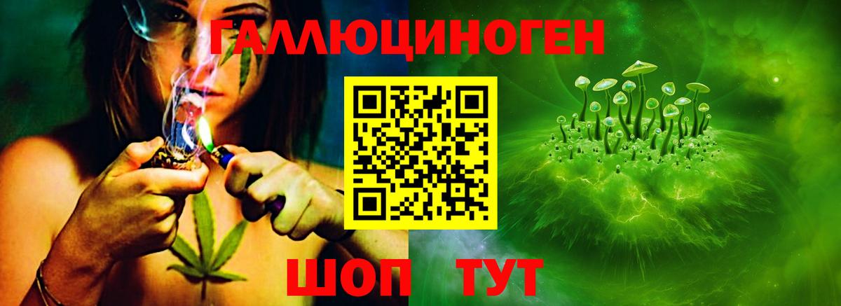 Клинцы  купить  сайты  Галлюциногенные грибы GOLDEN TEACHER  Вход с VPN  Галлюциногенные грибы мицелий 